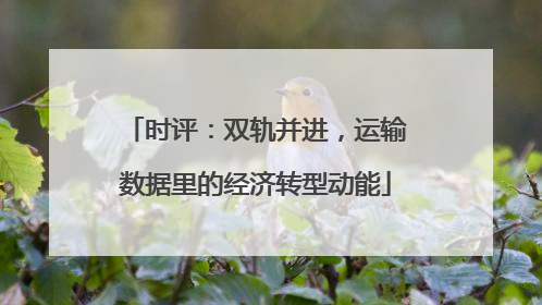 时评：双轨并进，运输数据里的经济转型动能