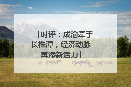 时评：成渝牵手长株潭，经济动脉再添新活力