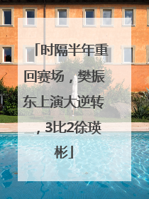 时隔半年重回赛场，樊振东上演大逆转，3比2徐瑛彬