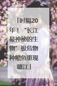 时隔20年！“长江最神秘的生物”极危物种鳤鱼重现赣江