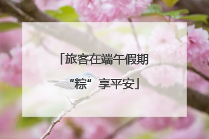 旅客在端午假期“粽”享平安