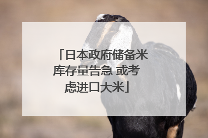 日本政府储备米库存量告急 或考虑进口大米