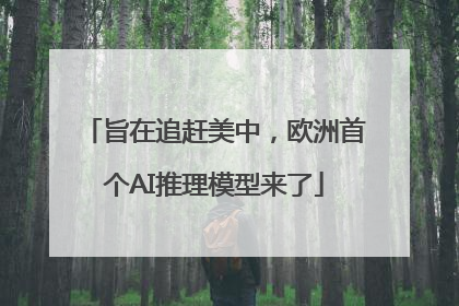 旨在追赶美中，欧洲首个AI推理模型来了