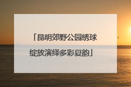 昆明郊野公园绣球绽放演绎多彩夏韵