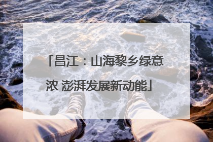 昌江：山海黎乡绿意浓 澎湃发展新动能
