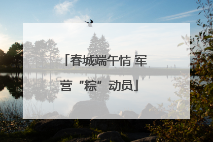 春城端午情 军营“粽”动员