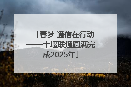 春梦 通信在行动——十堰联通圆满完成2025年