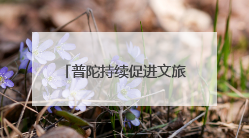 普陀持续促进文旅商体展深度融合，激活区域消费活力
