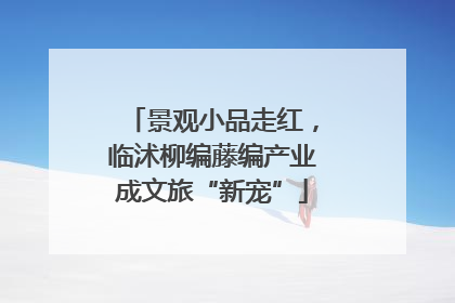 景观小品走红，临沭柳编藤编产业成文旅“新宠”