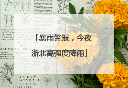 暴雨警报，今夜浙北高强度降雨