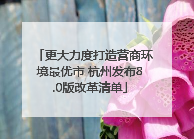 更大力度打造营商环境最优市 杭州发布8.0版改革清单