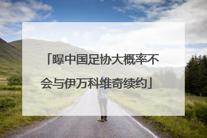 曝中国足协大概率不会与伊万科维奇续约