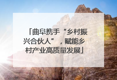 曲阜携手“乡村振兴合伙人”，赋能乡村产业高质量发展