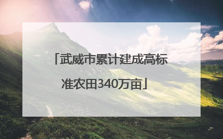 武威市累计建成高标准农田340万亩