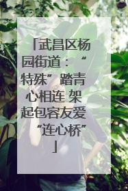 武昌区杨园街道：“特殊”踏青心相连 架起包容友爱“连心桥”
