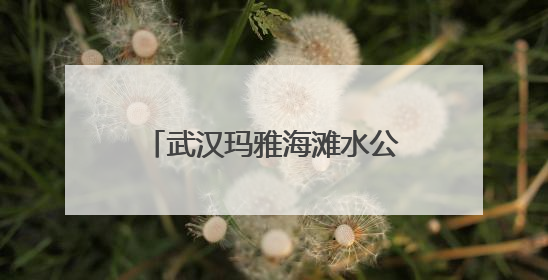 武汉玛雅海滩水公园7日正式开园 后续将推出夏浪音乐节等精彩活动