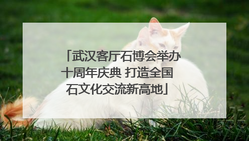 武汉客厅石博会举办十周年庆典 打造全国石文化交流新高地