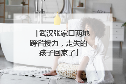 武汉张家口两地跨省接力，走失的孩子回家了