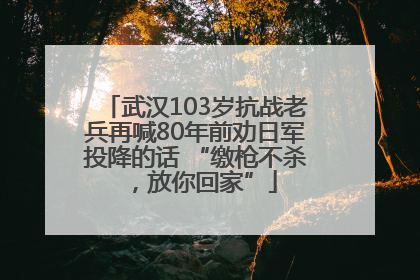 武汉103岁抗战老兵再喊80年前劝日军投降的话 “缴枪不杀，放你回家”