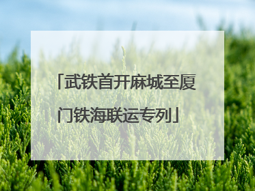武铁首开麻城至厦门铁海联运专列