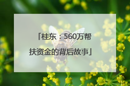 桂东：560万帮扶资金的背后故事