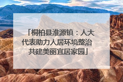 桐柏县淮源镇：人大代表助力人居环境整治 共建美丽宜居家园