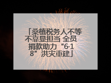 桑植税务人不等不靠显担当 全员捐款助力“6·18”洪灾重建