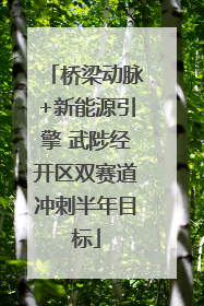 桥梁动脉+新能源引擎 武陟经开区双赛道冲刺半年目标