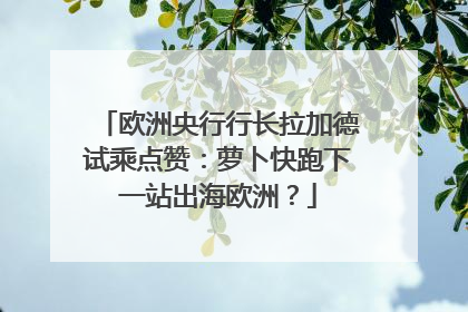 欧洲央行行长拉加德试乘点赞：萝卜快跑下一站出海欧洲？