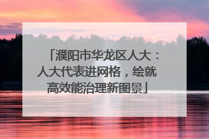 濮阳市华龙区人大：人大代表进网格，绘就高效能治理新图景
