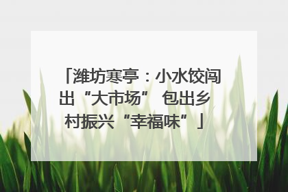 潍坊寒亭：小水饺闯出“大市场” 包出乡村振兴“幸福味”