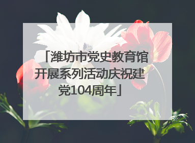 潍坊市党史教育馆开展系列活动庆祝建党104周年