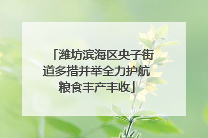 潍坊滨海区央子街道多措并举全力护航粮食丰产丰收
