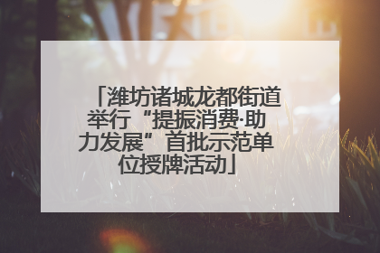 潍坊诸城龙都街道举行“提振消费·助力发展”首批示范单位授牌活动