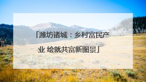 潍坊诸城：乡村富民产业 绘就共富新图景