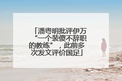 潘粤明批评伊万“一个装傻不辞职的教练”，此前多次发文评价国足
