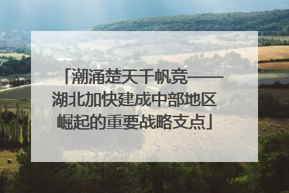 潮涌楚天千帆竞——湖北加快建成中部地区崛起的重要战略支点