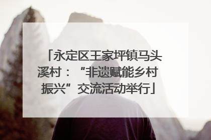 永定区王家坪镇马头溪村：“非遗赋能乡村振兴”交流活动举行