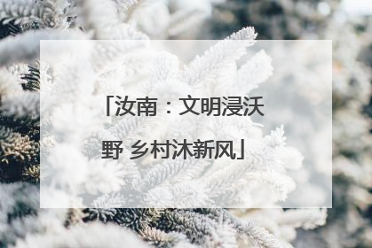 汝南：文明浸沃野 乡村沐新风