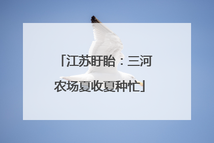 江苏盱眙：三河农场夏收夏种忙