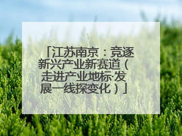 江苏南京：竞逐新兴产业新赛道（走进产业地标·发展一线探变化）