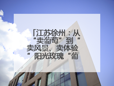 江苏徐州：从“卖葡萄”到“卖风景、卖体验”阳光玫瑰“葡”就致富路