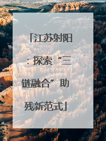 江苏射阳：探索“三链融合”助残新范式