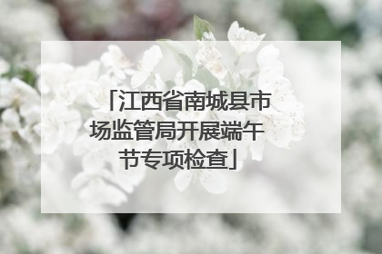江西省南城县市场监管局开展端午节专项检查