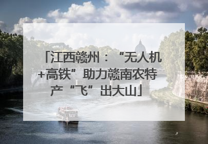 江西赣州：“无人机+高铁”助力赣南农特产“飞”出大山