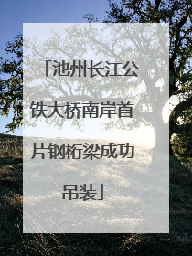 池州长江公铁大桥南岸首片钢桁梁成功吊装