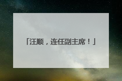 汪顺，连任副主席！