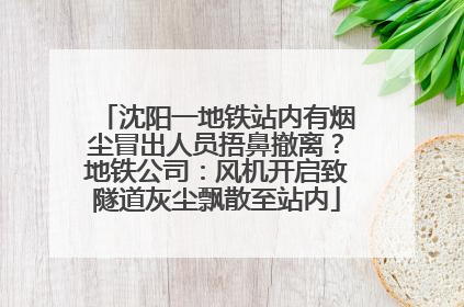沈阳一地铁站内有烟尘冒出人员捂鼻撤离？地铁公司：风机开启致隧道灰尘飘散至站内