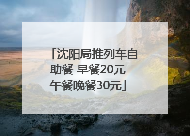 沈阳局推列车自助餐 早餐20元午餐晚餐30元