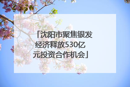沈阳市聚焦银发经济释放530亿元投资合作机会